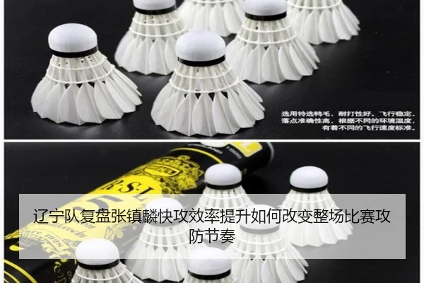 辽宁队复盘张镇麟快攻效率提升如何改变整场比赛攻防节奏